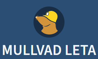 Mullvad Leta 第三方搜索引擎 无广告 保护您的隐私-特资啦！个人资源分享站