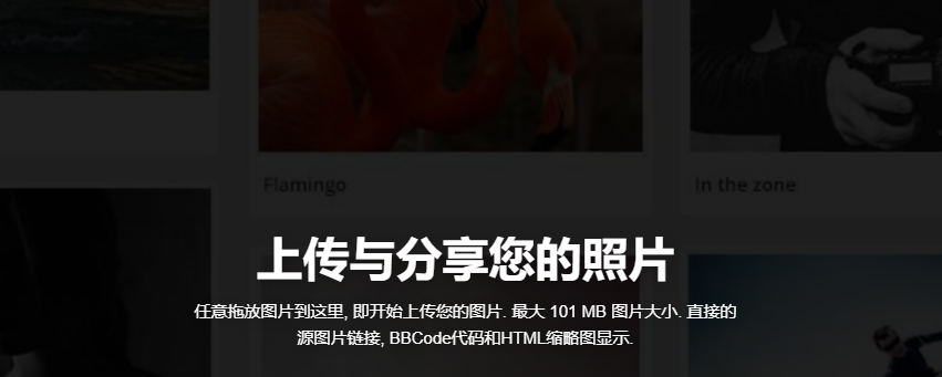 图片[1]-IM.GE 一家优秀的免费图床 无限空间永久保存-特资啦！个人资源分享站