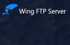 Wing FTP Server 企业版 8.0.3 x64 免费下载-特资啦！个人资源分享站