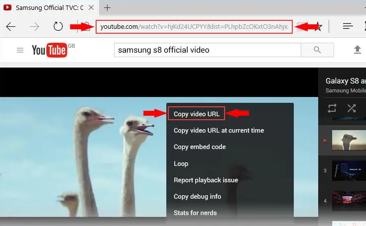 图片[2]-免费 YouTube 下载 高级版 4.4.43.1025 Pro 免费下载-特资啦！个人资源分享站