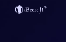 iBeesoft 磁盘分区向导 免费下载 2026年4月25日更新-特资啦！个人资源分享站