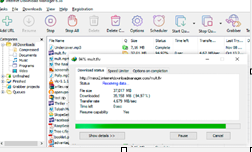 Internet Download Manager (IDM) 免费下载 v6.43.3-特资啦！个人资源分享站
