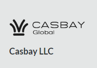 【商家投稿】CasbayMy 8月特惠 支持支付宝 Alipay 买6个月送6个月 44马币/月 马来西亚服务器 100Mbps不限流量-特资啦！个人资源分享站
